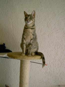 m Bild von Mona
