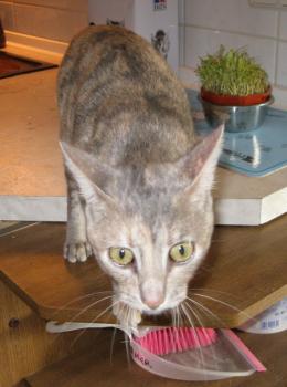 m Bild von Mona