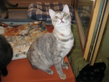 m Bild von Mona