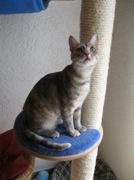 m Bild von Mona