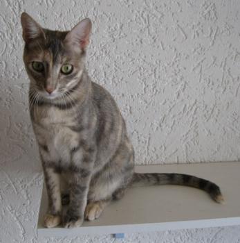 m Bild von Mona