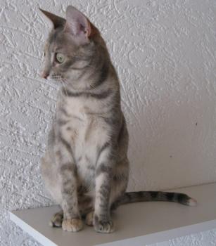 m Bild von Mona