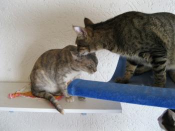 m Bild von Mona