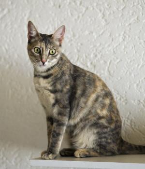 m Bild von Mona