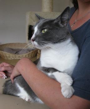 n Bild von Nelja