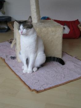 m Bild von Momo