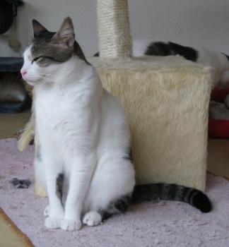 m Bild von Momo
