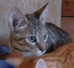 b Bild von Beky