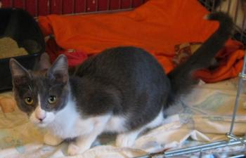 Bild von Lili