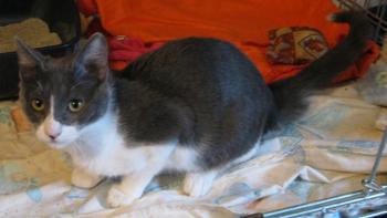 Bild von Lili