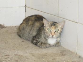 o Bild von Silwa