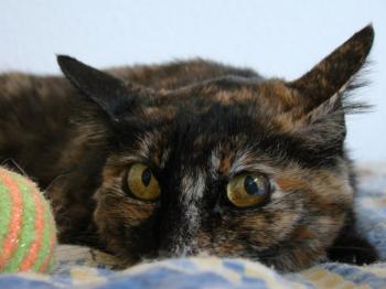 n Bild von Nena