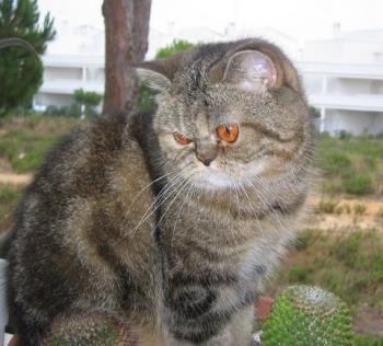 m Bild von Maya