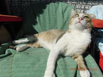 e Bild von Elias