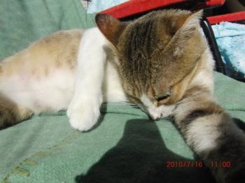 e Bild von Elias