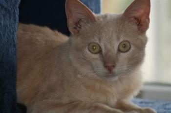 Bild von Sammy