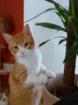 g Bild von Gustl