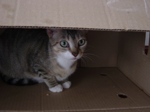 c Bild von Cleo