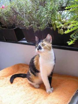n Bild von Noe