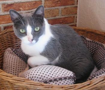 n Bild von Nelja