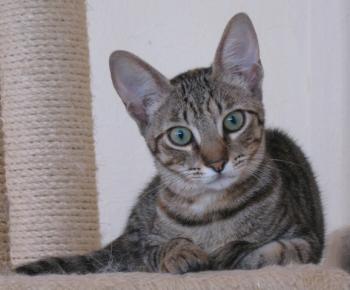 b Bild von Beky