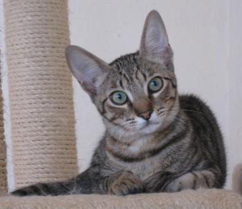 b Bild von Beky