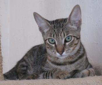 b Bild von Beky