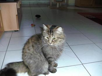 b Bild von Benny
