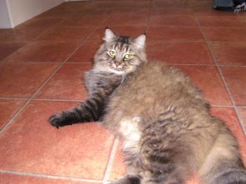 b Bild von Benny