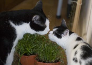 m Bild von Mitxi