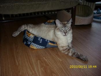 Bild von Sammy
