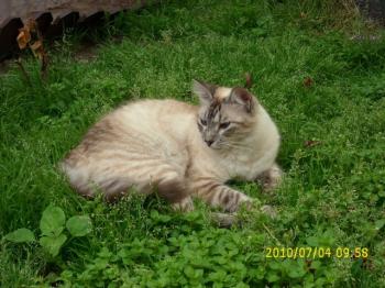 Bild von Sammy
