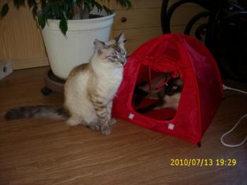 Bild von Sammy