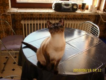 b Bild von Biberoni