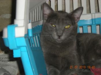 c Bild von Clooney