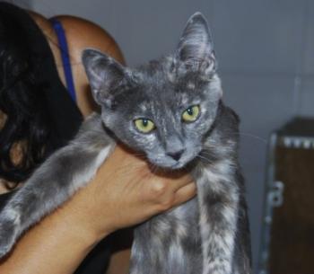 q Bild von Yumi