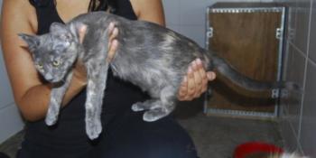 q Bild von Yumi