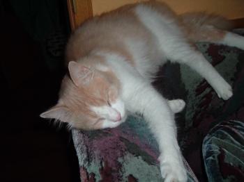 b Bild von Baby