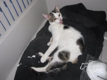 f Bild von Freddie