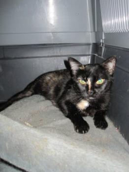 z Bild von Zahara