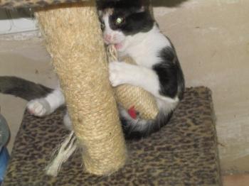 l Bild von Lisa