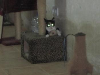 l Bild von Lisa