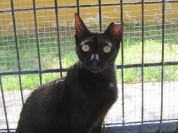 Bild von Bella