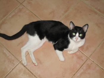 o Bild von Tobi