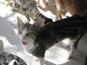 o Bild von Lilian