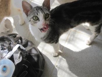 o Bild von Lilian