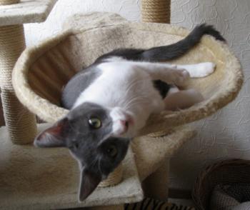 Bild von Lili
