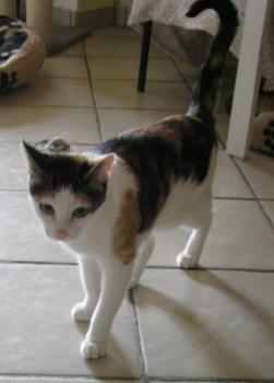 b Bild von Barbara