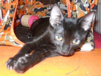 m Bild von Maggie