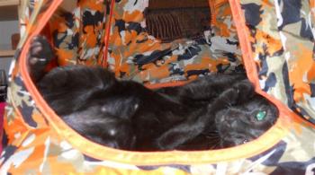 m Bild von Maggie
